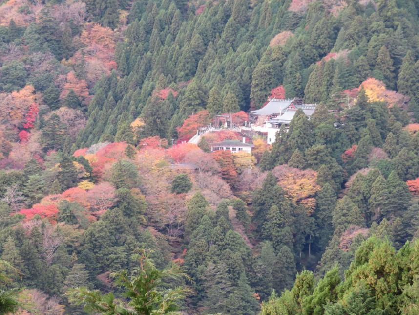 221122見晴台周辺から見た阿夫利神社下社