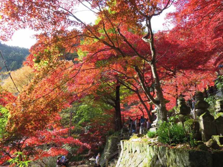 221122大山寺