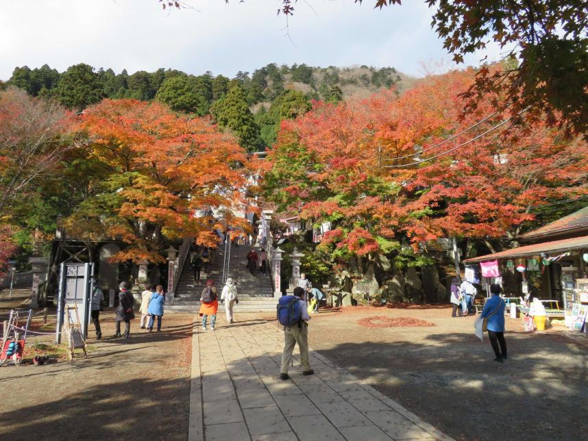 221122大山　阿夫利神社下社