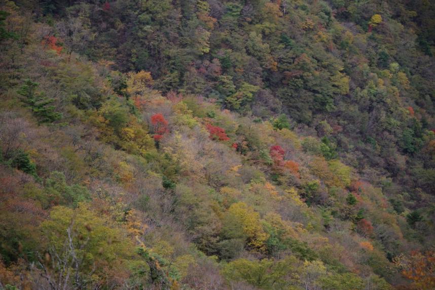 10月27日姫次から蛭ヶ岳方面
