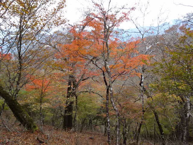 10月28日菰釣山