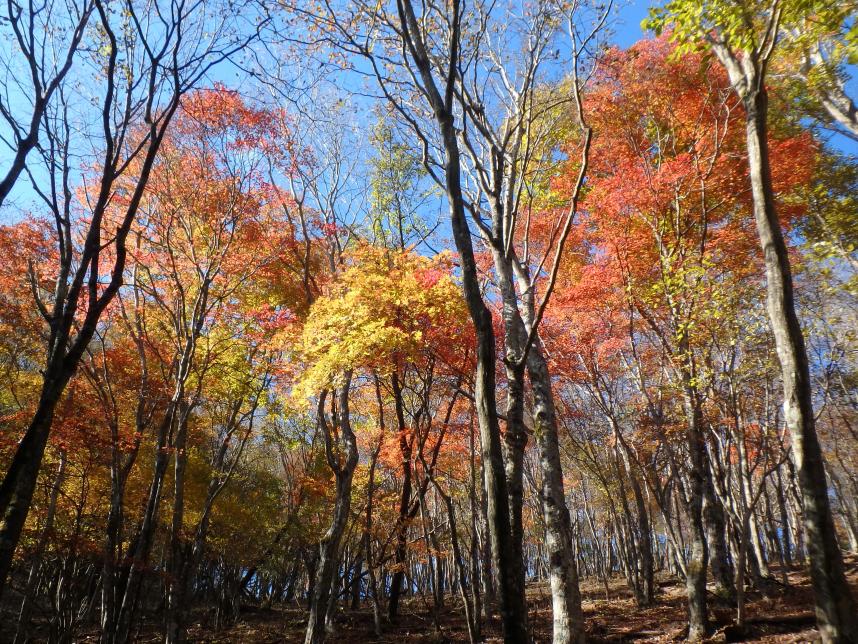 11月2日黍殻山