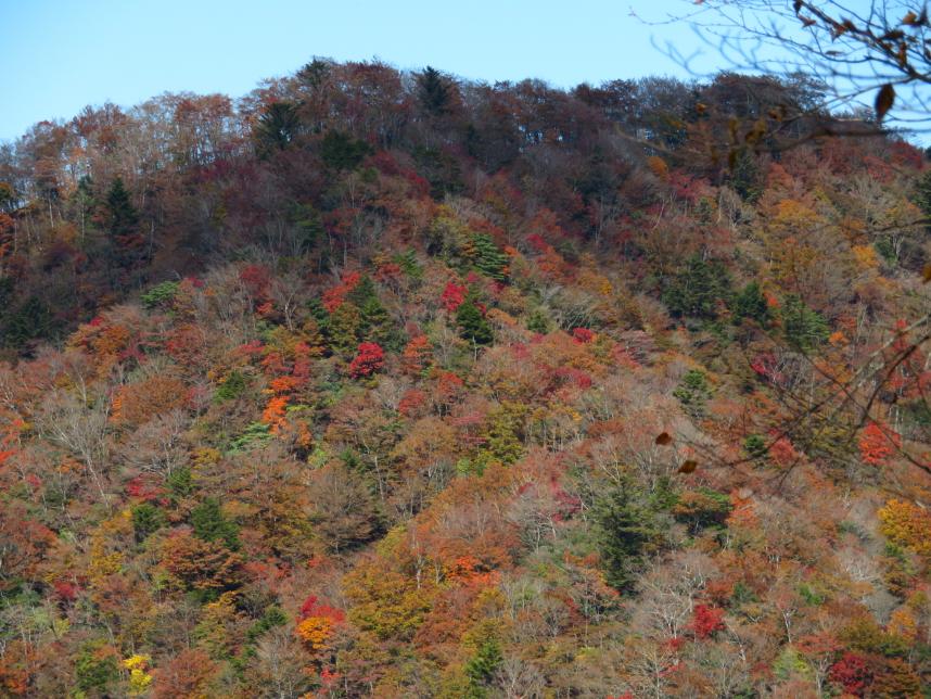 11月2日白石峠