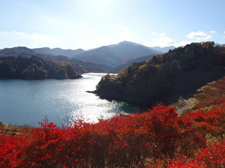 11月25日鳥居原園地登山口周辺