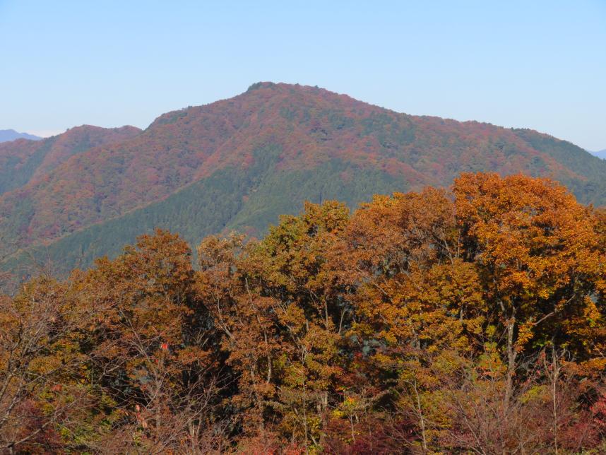 11月4日陣馬山から生藤山方向
