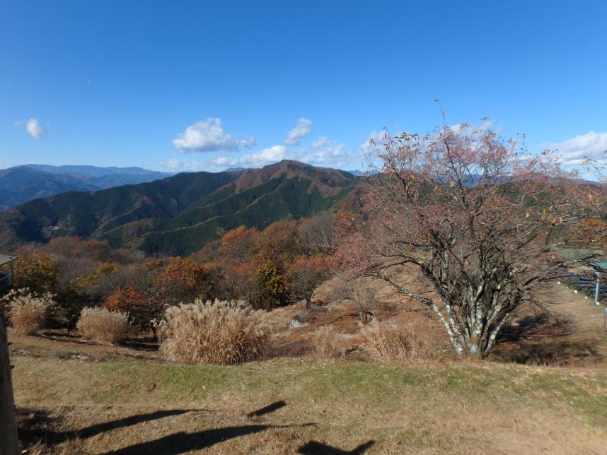 11月16日陣馬山山頂