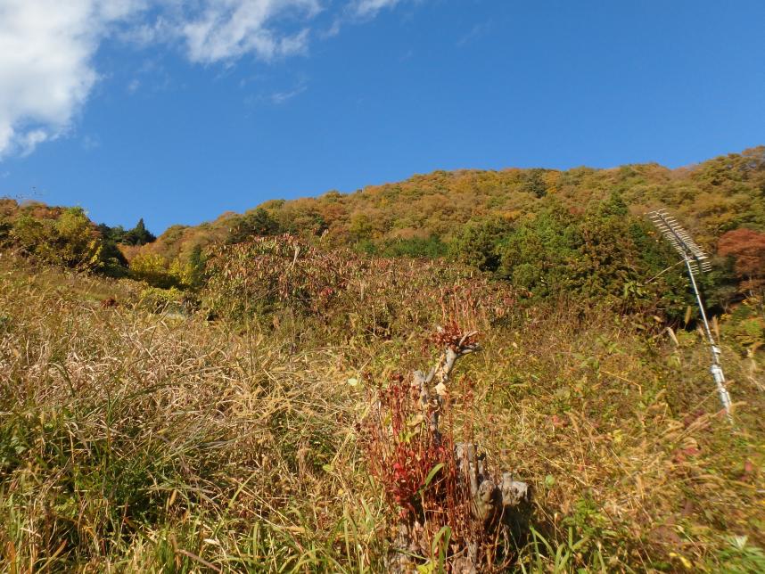 11月16日栃谷尾根登山口