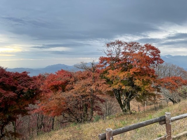 221120陣馬山山頂