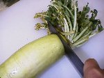 写真：葉を切り落とす
