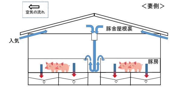 豚舎構造（妻側）