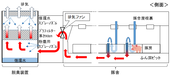 豚舎構造（側面）