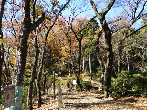 12月16日順礼峠