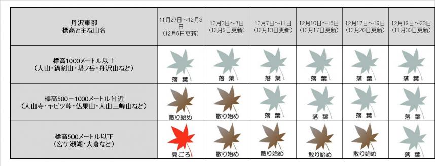 12月23日東丹沢紅葉表