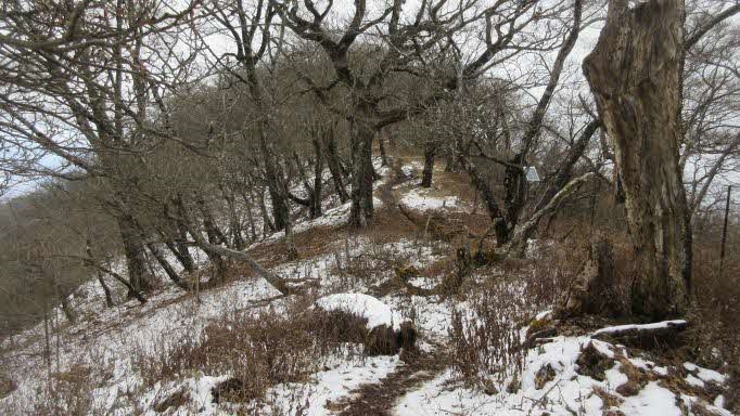 令和4年12月9日大室山山頂周辺