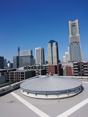 seishonen_rooftop