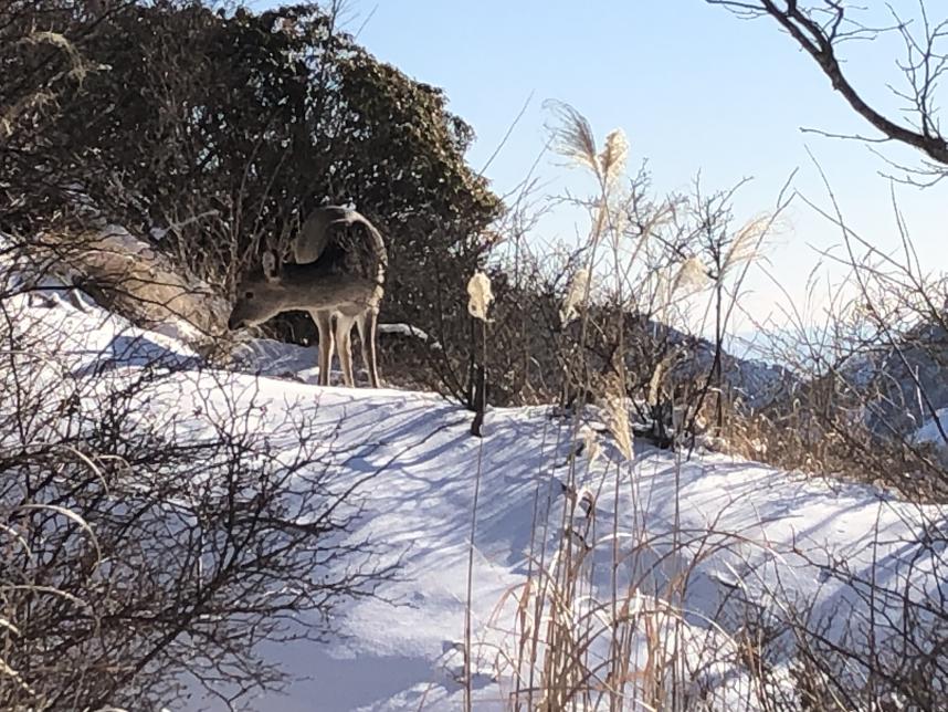 230128塔ノ岳花立