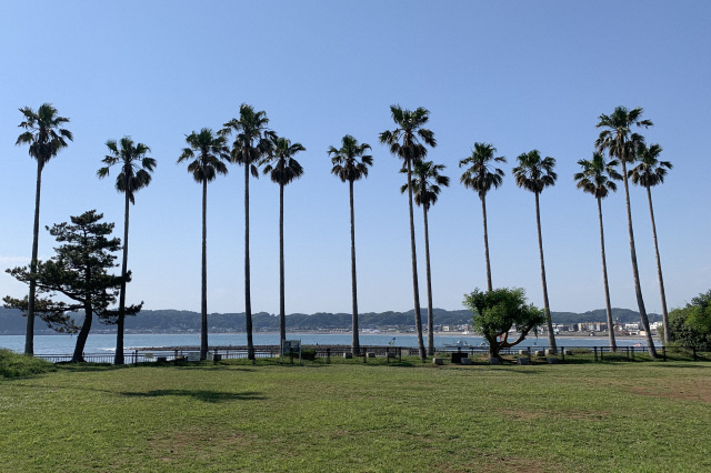 小坪飯島公園