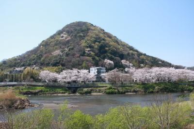 高麗山