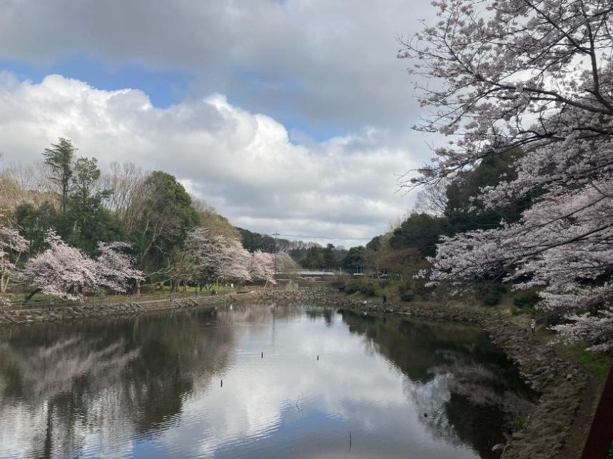 大和市魅力2