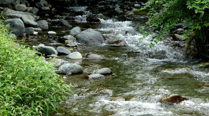 秦野市湧水
