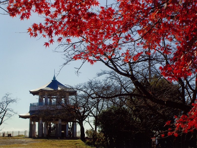 弘法山公園
