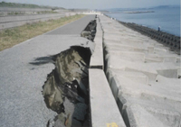 柳島海岸の被災写真