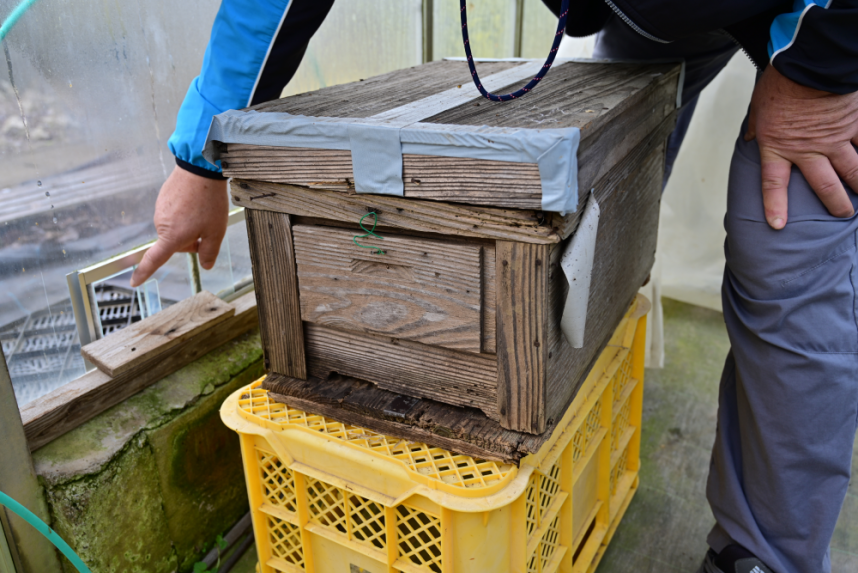 ミツバチの箱