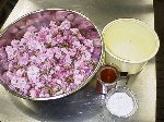 写真：ヤエザクラの花　1kg