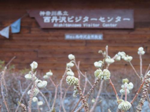 2月21日西丹沢ビジターセンター