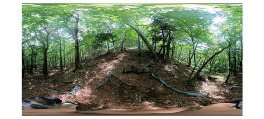 写真2：360度カメラで撮影した丹沢山地内のブナ林における360度画像