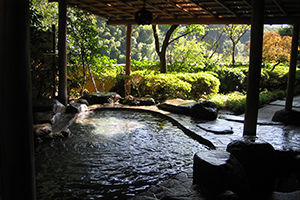 こごめの湯