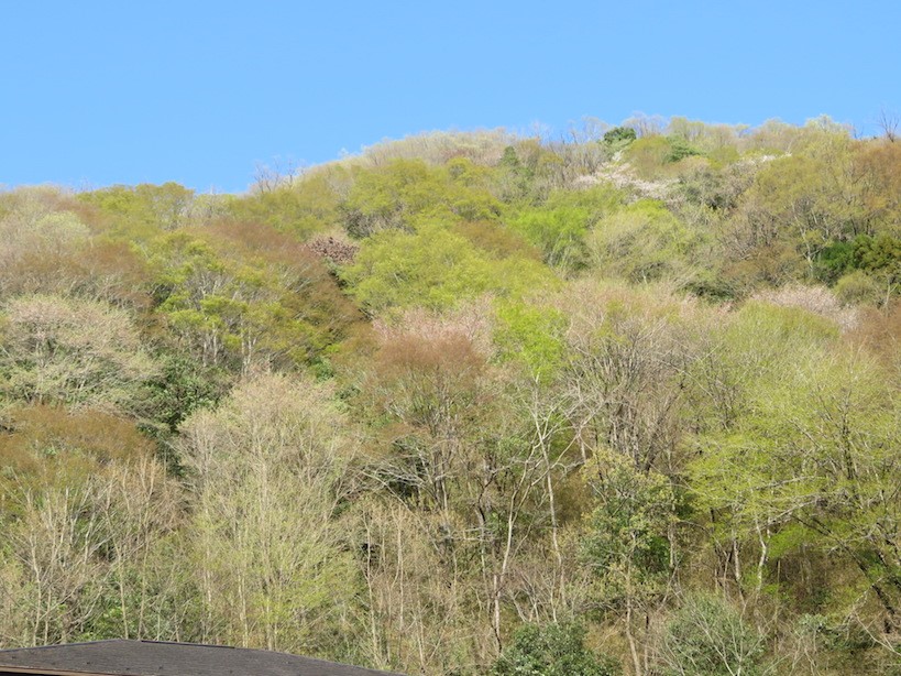 230403陣馬山登山口バス停周辺