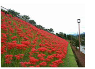 南足柄市運動公園の写真