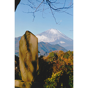 富士見塚からの写真