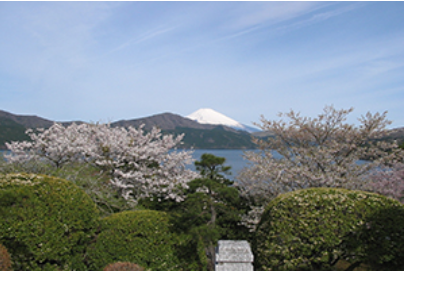 恩賜箱根公園からの富士山の写真