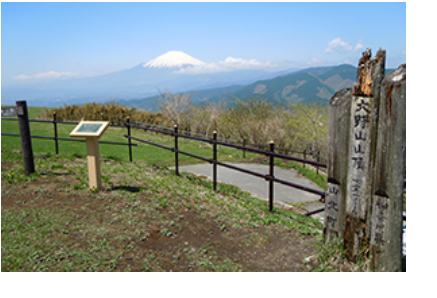 大野山山頂からの写真