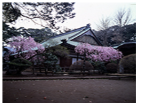 早雲寺の写真