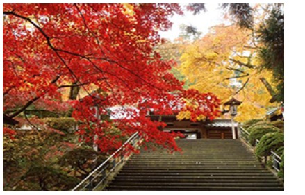 大雄山最乗寺の写真