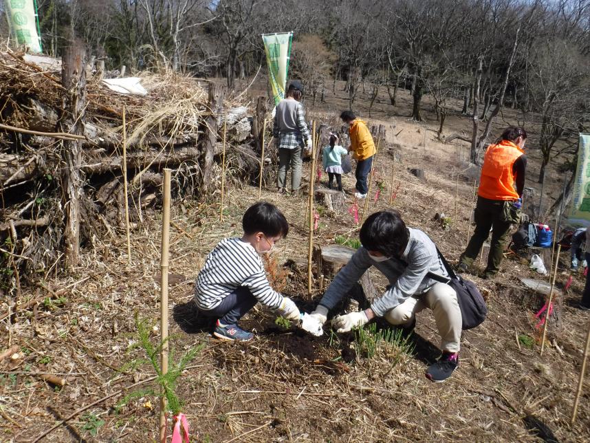 植樹の様子1