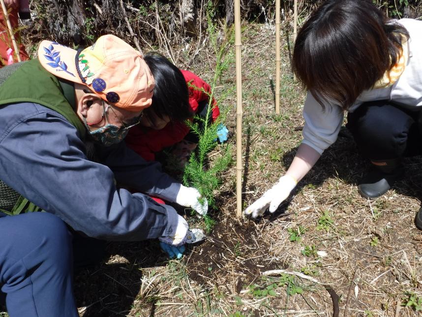 植樹の様子2