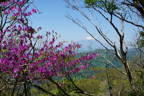 5月10日大山山頂