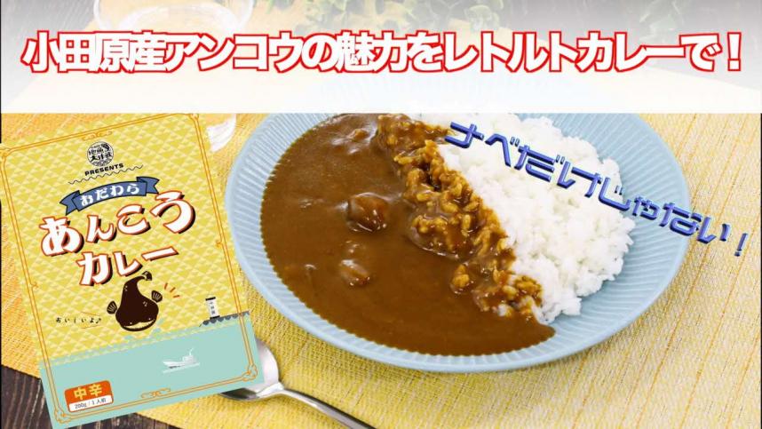 ankocurry