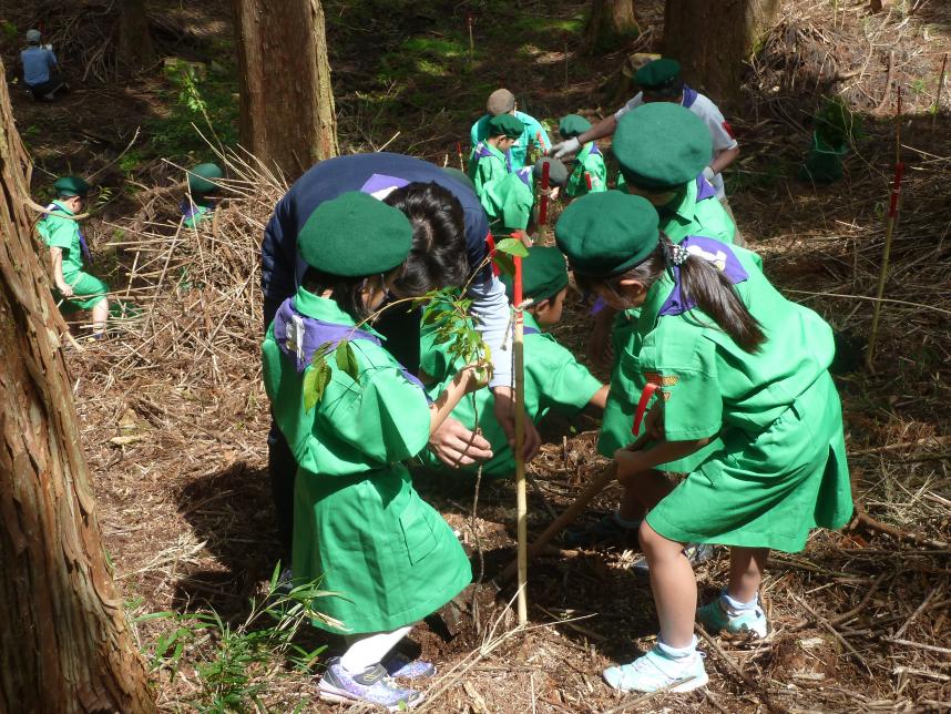 緑の祭典30植樹の様子