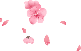 Kanagawa Festival Cherry Blossom Logo