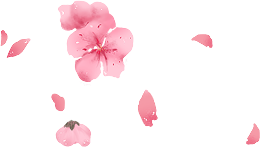Kanagawa Festival Cherry Blossom Logo