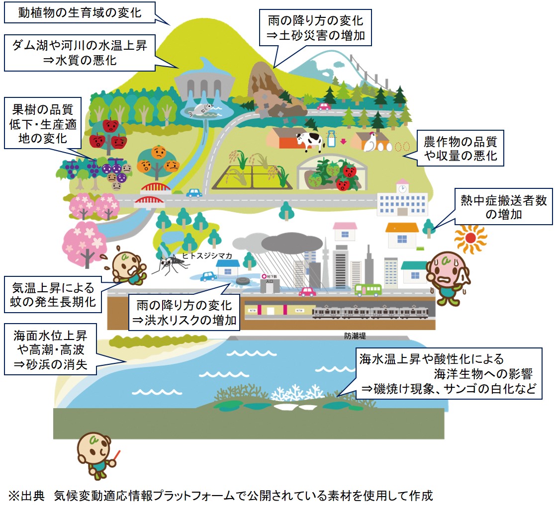 気候変動の影響 映像を視る かながわ気候変動web