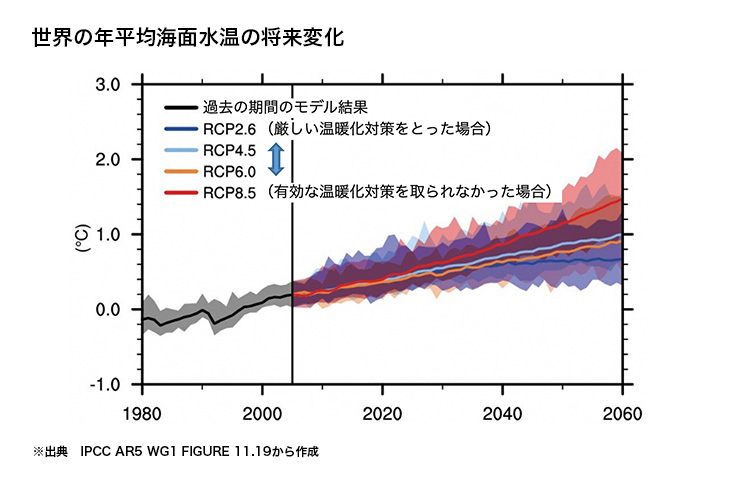 世界の年平均海面水温の将来変化の図表