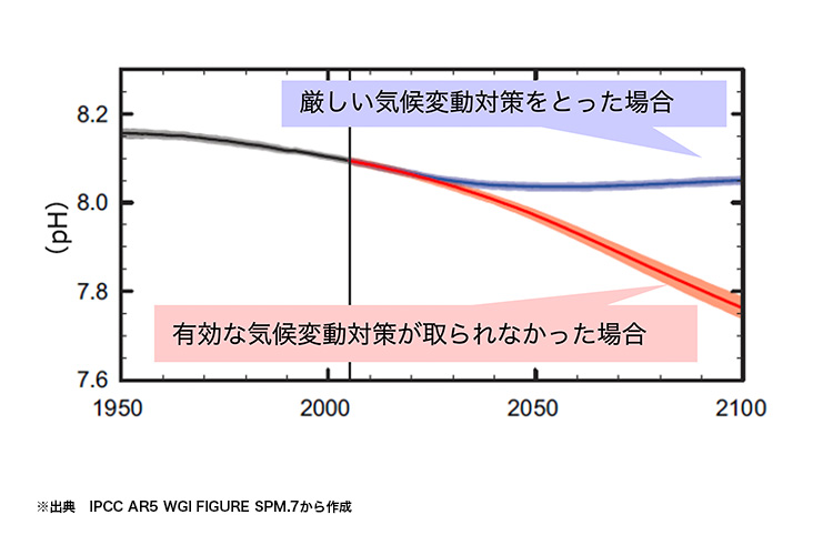 世界の年平均海面水温の将来変化の図表