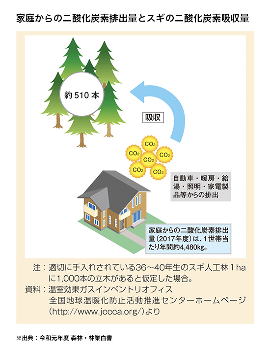 家庭からの二酸化炭素排出量とスギの二酸化炭素吸収量の図表