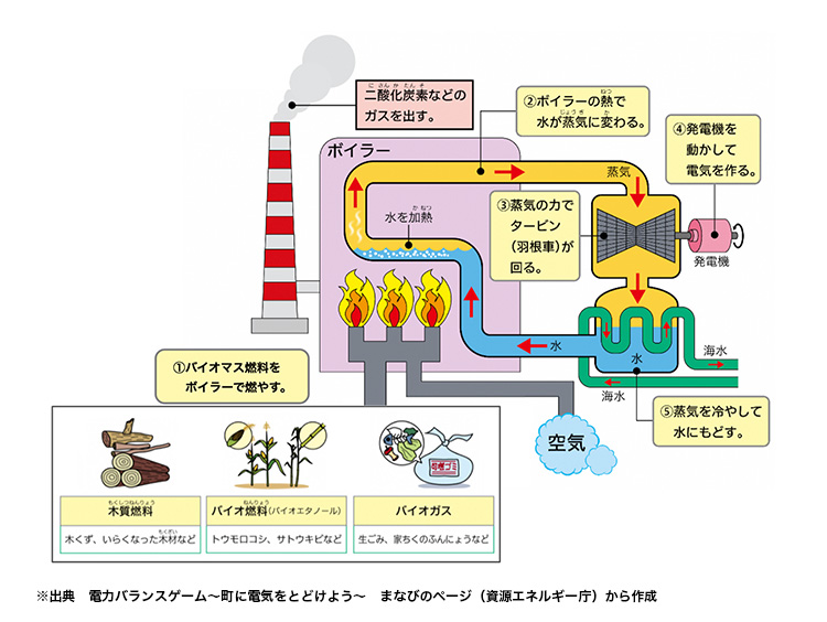 バイオマス発電の図表